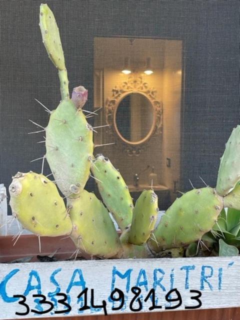 מלון מרצאממי Casa Maritri Locazione Turistica מראה חיצוני תמונה