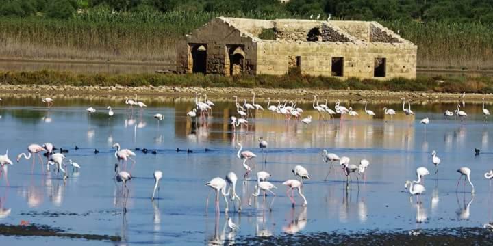 מלון מרצאממי Casa Maritri Locazione Turistica מראה חיצוני תמונה